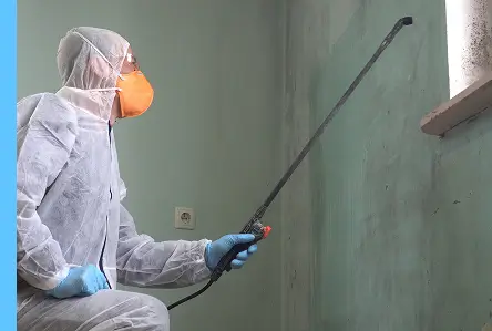 A hazmat worker spraying solution.