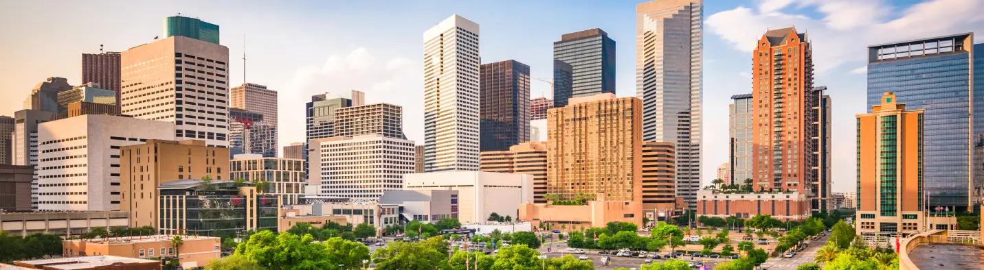 The Houston skyline.