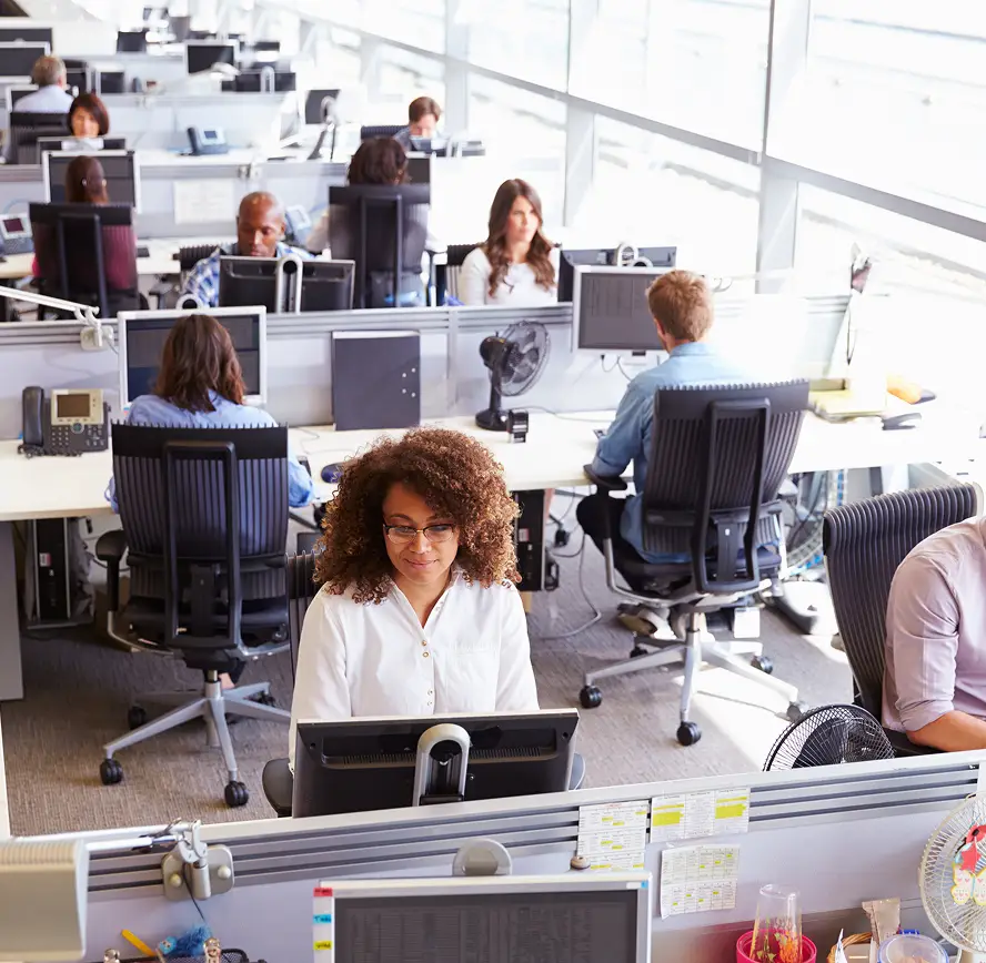 Rows of computer desks with office workers