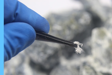 Gloved hand holding tweezers picking up asbestos sample