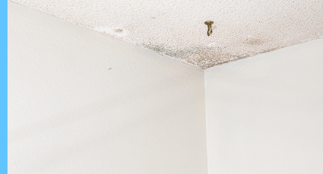 asbestos inspection